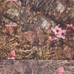 Sp5der Real Tree OG Web Camo Hoodie